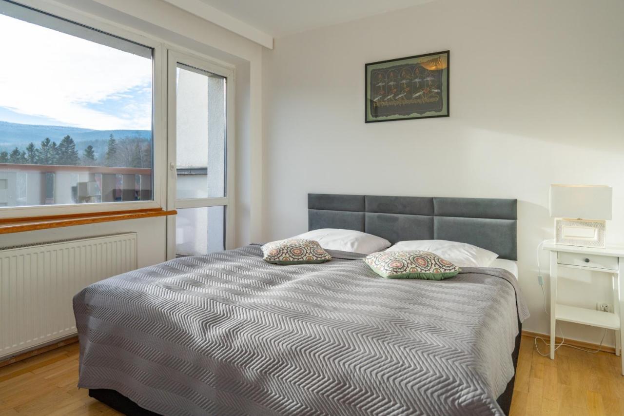 Stanica Gorska Apartment Шклярска Поремба Екстериор снимка